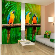 Фотошторы с эффектом объемного рисунка 3D Тропические попугаи 155*270см